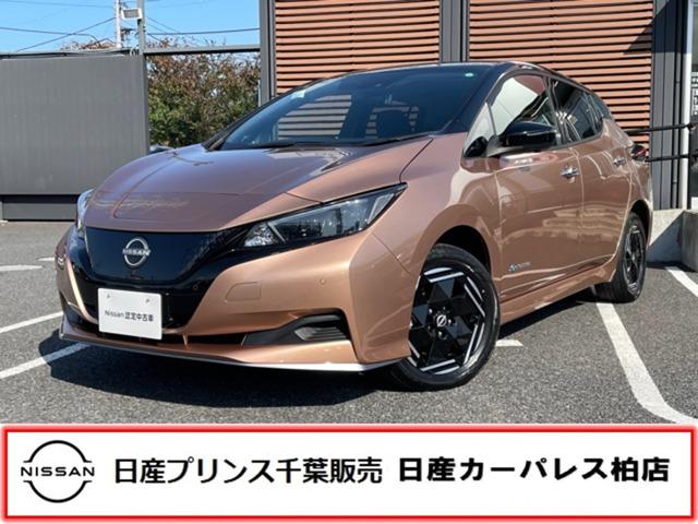 リーフ(日産) ｅ＋　Ｘ　当社試乗車・　クルーズコントロール　カーナビ　ＥＴＣ　バックカメラ　メモリーナビ　オートエアコン　サイドエアバック　Ｗエアバック　ＡＷ　キーフリー　禁煙車　ＡＢＳ　イモビライザー　レーダーブレーキ　レーンアシスト 中古車画像