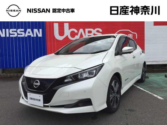 リーフ(日産) Ｘ　Ｖセレクション　メーカーナビアラウンドビューモニタードラ　レーダークルコン　３６０°カメラ　踏み間違い防止装置　ＬＥＤランプ　ドライブレコーダー　１オーナー　ＥＴＣ　インテリキー　レーンキープアシスト　サイドエアバッグ　パワーウィンドウ　ＡＢＳ　バックカメラ 中古車画像