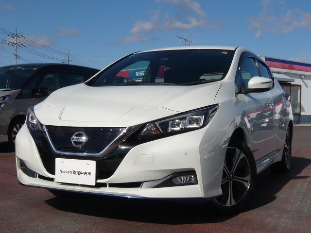  ꡼ ܡǡʥȥҡƥꥸȥ饦ɥӥ塼˥