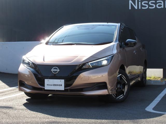 Ｇｅｔ－Ｕ管理番号：１３００－３８Ｃ－１５４４３ 遠方のお客様も大歓迎。納車後の保証修理はお近くの日産のお店にて対応可能。