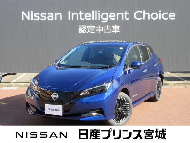 リーフ(日産) Ｘ　Ｖセレクション　当社元試乗車　プロパイロット　レーダークルコン　３６０°カメラ　踏み間違い防止装置　ＬＥＤランプ　セキュリティ　禁煙　１オーナー　ＥＴＣ　インテリキー　レーンキープアシスト　サイドエアバッグ　パワーウィンドウ　ＡＢＳ　メモリ−ナビ 中古車画像
