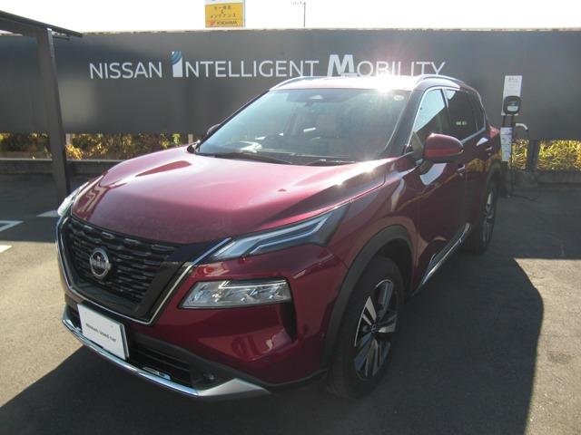 Ｇｅｔ－Ｕ管理番号：１７０－４５２－０４９７３