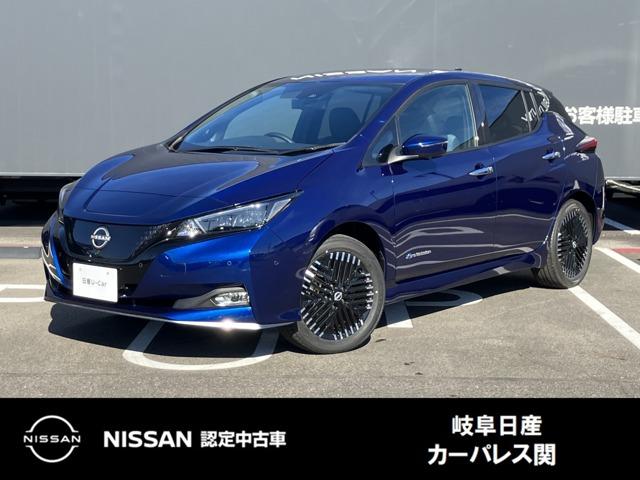 リーフ(日産) ｅ＋　Ｇ　雹害車　メーカーＮＣナビ　プロパイロット 中古車画像