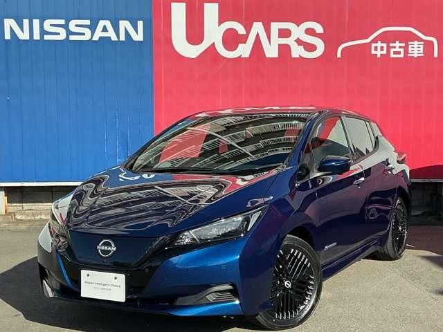 リーフ(日産) 元当社社有車　ＥＶ専用ＮｉｓｓａｎＣｏｎｎｅｃｔナビ　レーダークルコン　３６０°カメラ　踏み間違い防止装置　ＬＥＤランプ　セキュリティ　禁煙　１オーナー　ＥＴＣ　インテリキー　レーンキープアシスト　サイドエアバッグ　パワーウィンドウ　ＡＢＳ　メモリ−ナビ 中古車画像