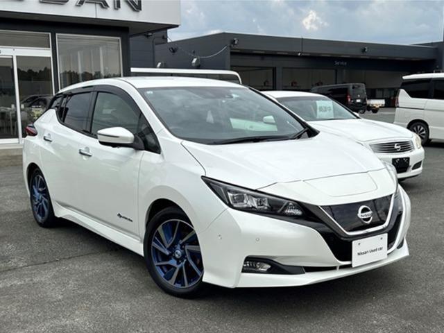 リーフ(日産) Ｇ　オートクルーズコントロール　ワンオーナー　ＥＴＣ　スマートキー　バックカメラ　サイドカメラ　盗難防止　アルミホイール　サイドカーテンエアバック　フルオートエアコン　記録簿　キーフリー　メモリ−ナビ 中古車画像