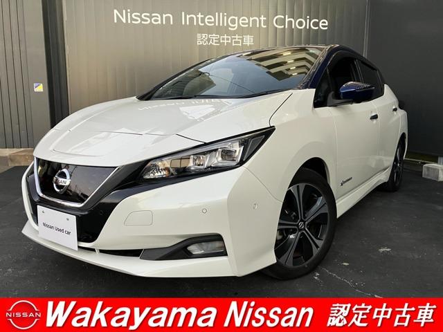リーフ(日産) Ｇ　プロパイロット　ドライブレコーダー 中古車画像