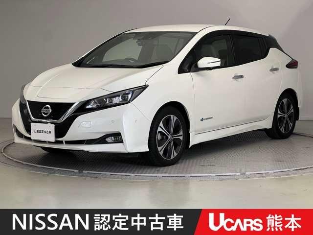 リーフ(日産) Ｇ　アラウンドモニター　ドラレコ　ＬＥＤ　アダプティブクルコン　ＬＥＤヘッドライト　パーキングサポート　ワンオーナー　ＥＴＣ　スマートキー　ドライブレコーダー　盗難防止　アルミホイール　サイドカーテンエアバック　フルオートエアコン　記録簿 中古車画像