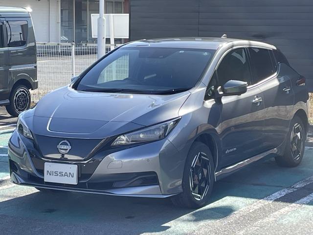 リーフ(日産) ｅ＋　Ｘ 中古車画像