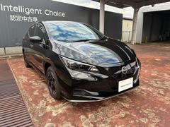 リーフ e+ X プロパイロット アラビュー NCナビ 寒冷地 中古車画像