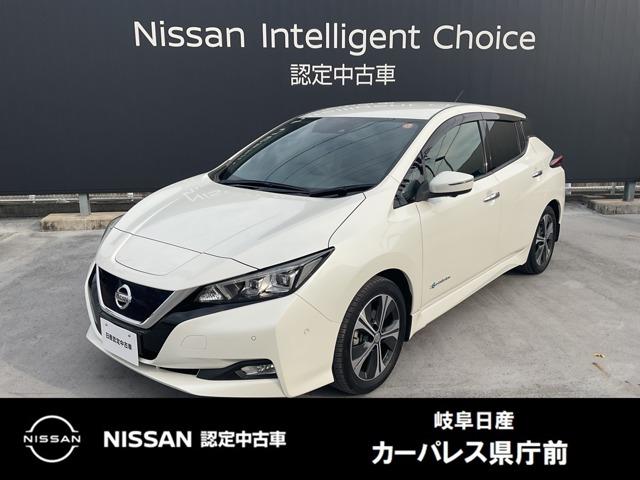 [t(Y) f@[J[ir^vpCbg^X}[g[ Îԉ摜