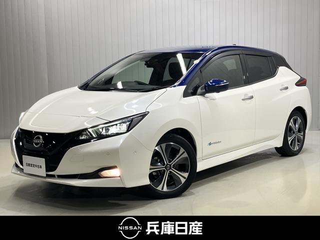 リーフ(日産) Ｇ　メーカーＯＰナビ・プロパイロット・全周囲カメラ・充電ケーブル・ＬＥＤヘッドランプ・前席シートヒーター・ステアリングヒーター・ＥＴＣ・ドライブレコーダー 中古車画像