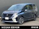 Ｇｅｔ－Ｕ管理番号：３５０－７８６－１２２８０ ◆こちらのセレナは【雹害車】となります◆【車検整備付】◆安心の【１年間走