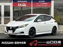 Ｇｅｔ－Ｕ管理番号：５４０－２３５－０８９７０ ☆４０ｋｗｈ　☆プロパイ　☆９インチメーカーナビ　☆ＥＴＣ２．０☆Ａｐｐ