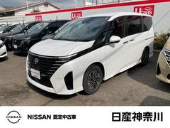 ����������ʡ����������ϥ��������������֡����ʥ�˥������ץ��ѥ����å�