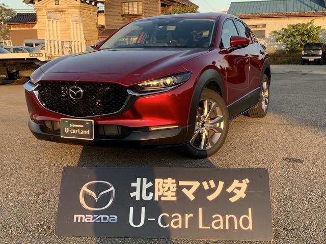 2.0 20S プロアクティブ ツーリングセレクション 全方位カメラ レーダークルーズ AW TV 衝突軽減 MRCC(1枚目)