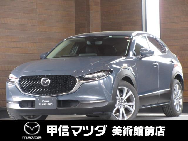 ２．０　Ｘ　Ｌパッケージ　４ＷＤ　当社元試乗車　禁煙車　ナビ　ＥＴＣ　ＢＯＳＥ