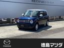 ・全方位モニター用カメラパッケージ装着車