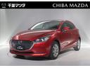 carPhoto