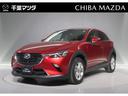 carPhoto