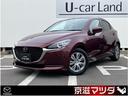 carPhoto
