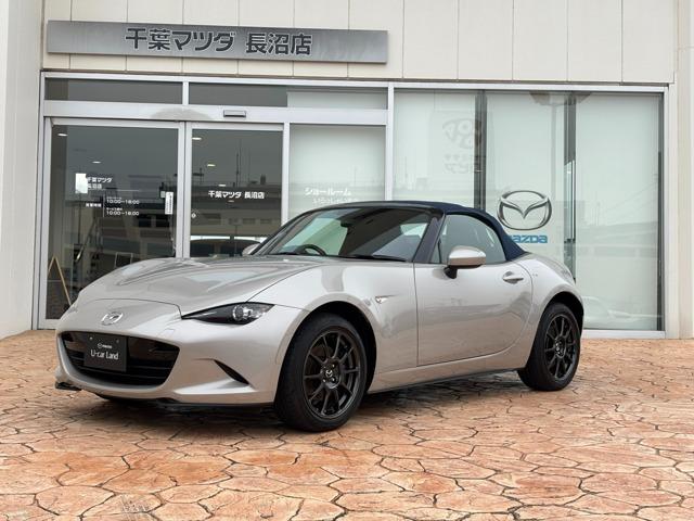９９０Ｓ　ホイールＲＡＹＳ　ブレンボキャリパー