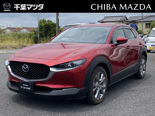 ＸＤ　プロアキティブＴ－Ｓ　シートヒーター　ハンドルヒーター　純正ナビ　ＥＴＣ　ドライブレコーダー　３６０°ビューモニター　電動リアゲート　電動シート