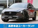 carPhoto
