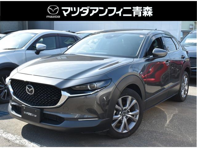 ２０Ｓ　ＰＲＯＡＣＴＩＶＥ　Ｔｏｕｒｉｎｇ　Ｓｅｌｅｃｔｉｏ　３６０°セーフティＰＫＧ　ＳＤナビ　ＦＲドラレコ　ＥＴＣ　ナビテレビ　地上デジタル　シートＨ　ＬＥＤランプ　スマキ　４ＷＤ　Ｂカメラ　パワーシート　横滑り防止　ＡＢＳ　キーフリー　エアコン　記録簿