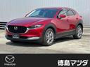 carPhoto