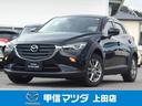 carPhoto