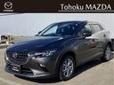 carPhoto