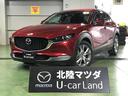 carPhoto