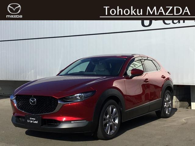 ãءݣ أġ̥ѥåǥ륿 0203070A20251026Z005 1