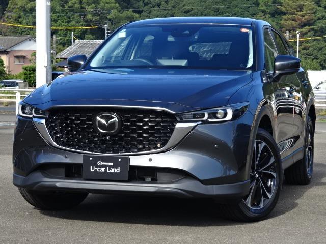 ͤ˰¿Ƥ⿮ꤵ륵ӥϤפ 1