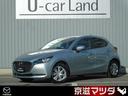 carPhoto