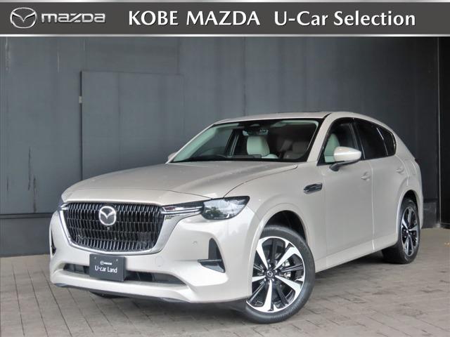 ãءݣ أĥϥ֥åɡץߥࡡ 0705556A20251028Z001 1