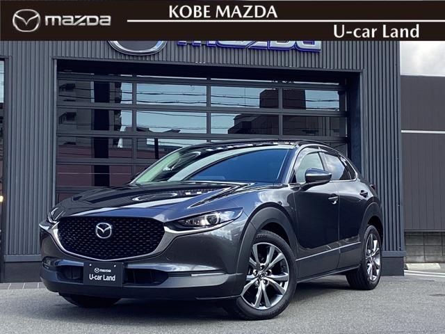 bw|RO(}c_) QDO@w@kpbP[W@ir@obNJ@dsb@QJhR Îԉ摜