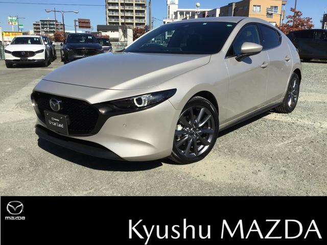 彣ޥĥǤΤϥƥʥŹǽʤͤȤĺƤޤ 1