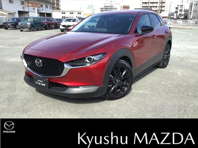 bw|RO(}c_) QDO@QOr@ubNg[GfBV@dsb@OhR@Sʃj^[@NAX\i|@X}[gu[L@aJ@`bb@X}[gL[@p[obNhA@A~zC[@a@I[g}`bNnCr[ Îԉ摜