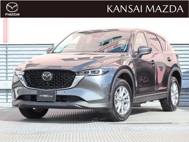 ޥĥ ãءݣ ӡץƥ֡ޥĥǧż