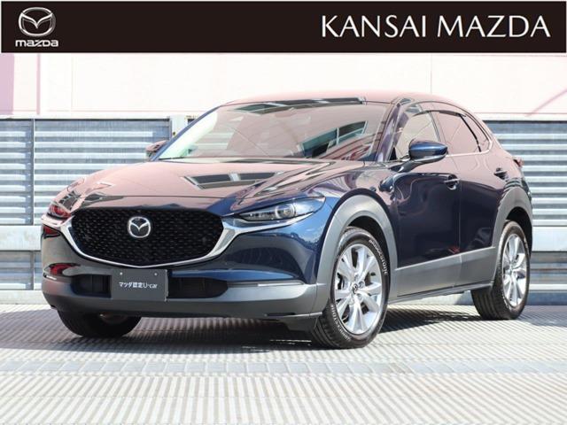 bw|RO(}c_) QDO@QOr@vANeBu@}c_F蒆Îԁ@Փ˔Qyu[L@RU Îԉ摜