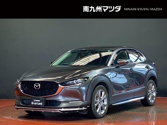 bw|RO(}c_) PDW@wc@vANeBu@c[OZNV@fB[@Փ˔Qyu[L Îԉ摜