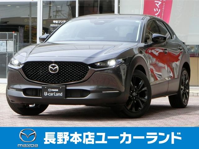 bw|RO(}c_) QDO@QOr@g@X|[c@GfBV@։@Зpԁ@anrd@RUOj^[@ir Îԉ摜