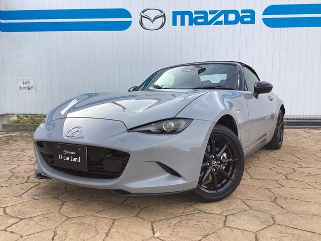 [hX^[(}c_) PDT@r@XyVpbP[W@Փˌyu[L Îԉ摜