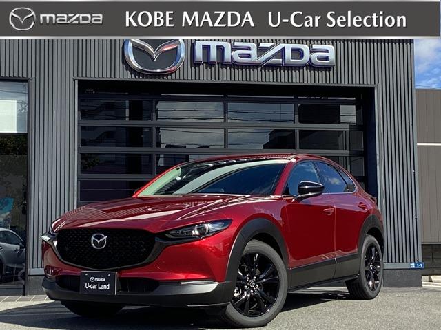 ワイヤレス充電Ｑｉ　Ａｌｅｘａ機能搭載