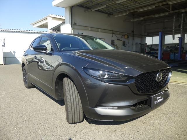 bw|RO(}c_) gX|[cGfBV Îԉ摜