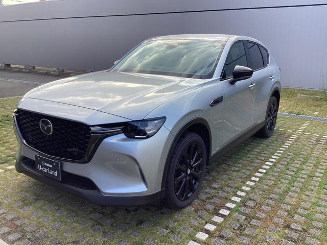 ãءݣ أģӣХեƥ롼ӥ塼 0700392A20251124Z001 1