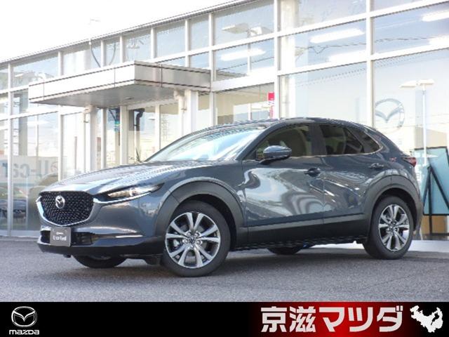 弊社デモカーアップ　禁煙車　ナビ　ＡＬＥＸＡ　スマホ充電　ＨＤＭＩ