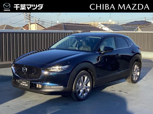 bw|RO(}c_) QDO@QOr@vANeBu@c[OZNV@ubNU[pbP[W@OhR@Փˌyu@OȃV[gq[^[@I[gGAR@nfW@irsu@oV[g@L[X@kdcwbh@h~VXe@X}[gL[@AChOXgbv Îԉ摜