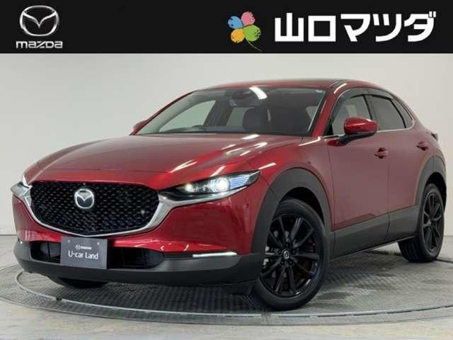 ޥĥǤΤϡڥƥʥŹǽʤۤ͡Ȥĺޤ 1